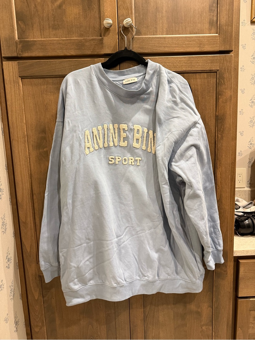 Anine Bing Light Blue Sport Crewneck Sweatshirt